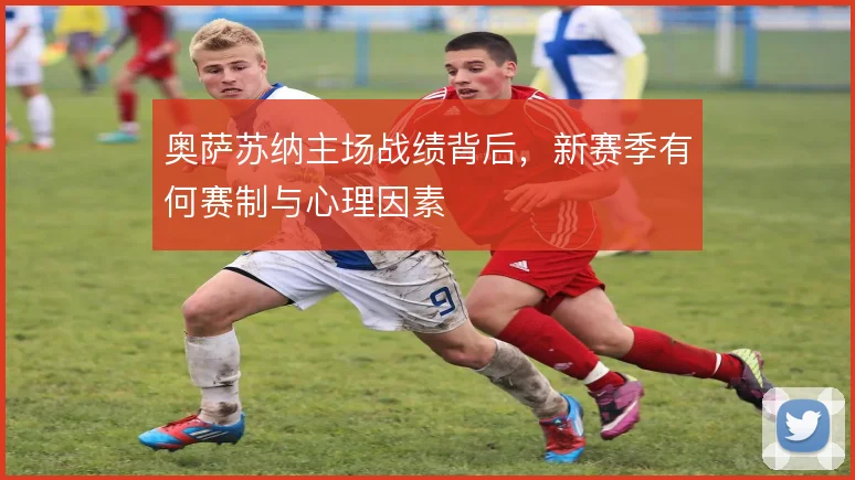 奥萨苏纳主场战绩背后，新赛季有何赛制与心理因素