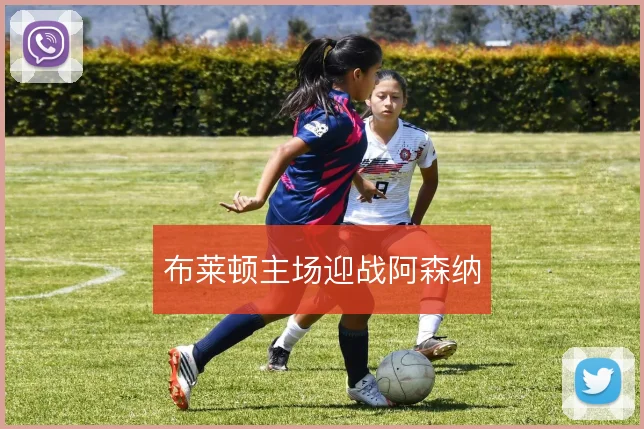 布莱顿主场迎战阿森纳